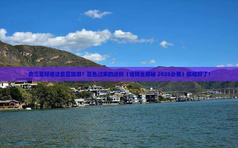 百色去三亚呀诺达景区旅游小吃