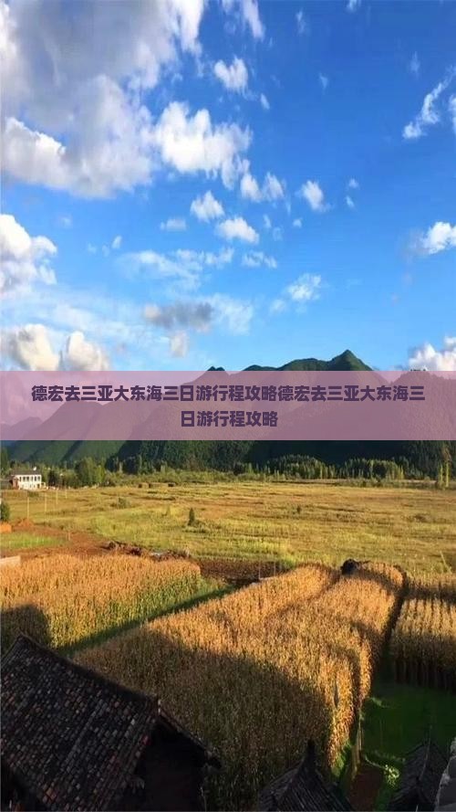 德宏去三亚大东海三日游