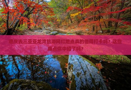 迪庆去三亚亚龙湾旅游网红地点