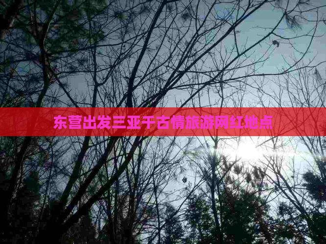 东营出发三亚千古情旅游网红地点