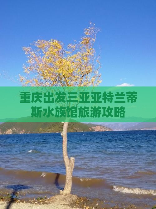重庆出发三亚亚特兰蒂斯水族馆旅游小吃
