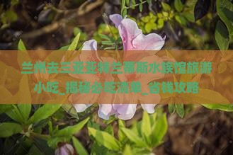兰州去三亚亚特兰蒂斯水族馆旅游小吃