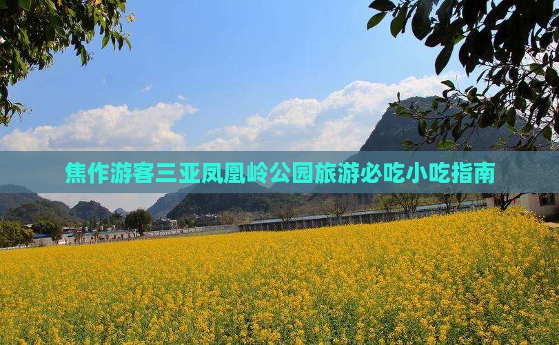 焦作去三亚凤凰岭公园旅游小吃