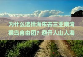 海东去三亚南湾猴岛自由团