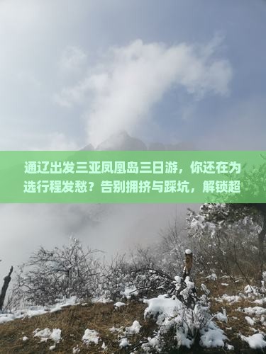 通辽出发三亚凤凰岛三日游