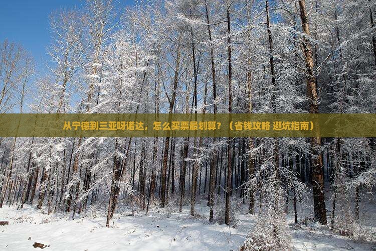 宁德去三亚呀诺达景区门票