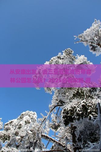 安康出发三亚亚龙湾热带森林公园旅游