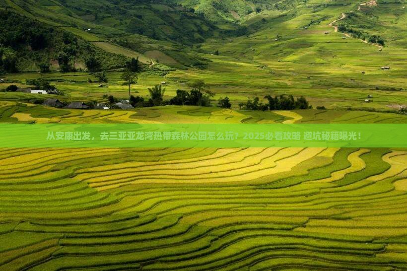 安康出发三亚亚龙湾热带森林公园旅游