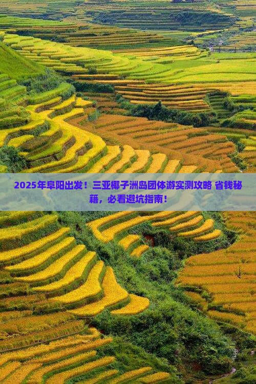 阜阳前往三亚椰子洲岛团体旅游