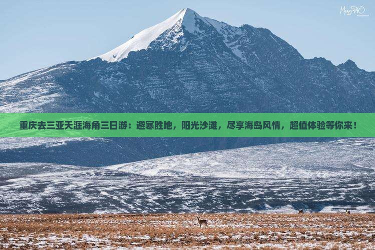 重庆去三亚天涯海角三日游