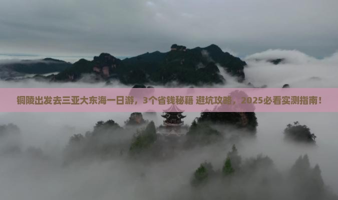 铜陵去三亚大东海一日游