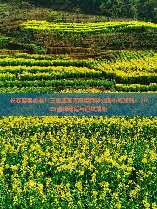 长春去三亚亚龙湾热带森林公园旅游小吃