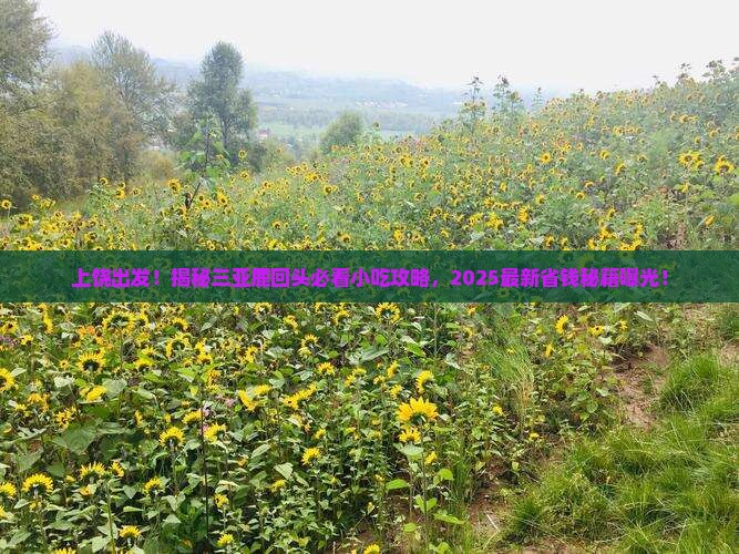 上饶前往三亚鹿回头旅游小吃