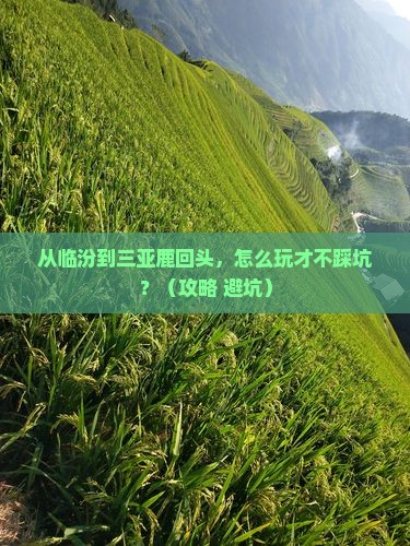 临汾去三亚鹿回头旅游网红地点
