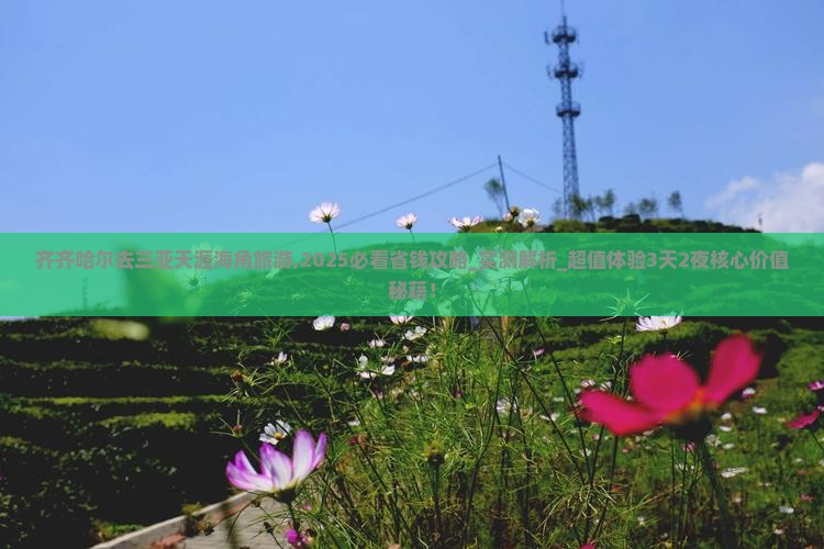 齐齐哈尔去三亚天涯海角旅游