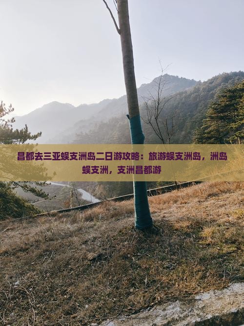 昌都去三亚蜈支洲岛二日游