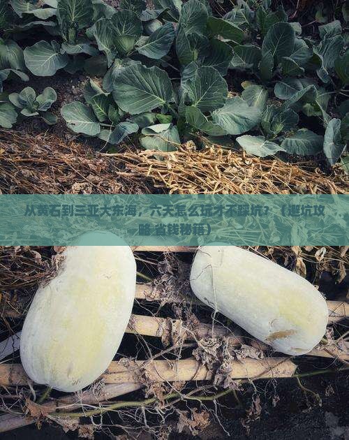 黄石去三亚大东海六日游