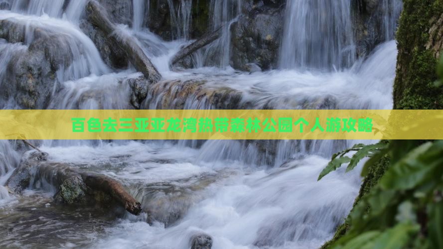 百色去三亚亚龙湾热带森林公园个人游