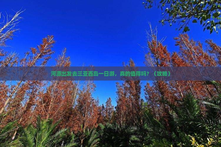 河源去三亚西岛一日游