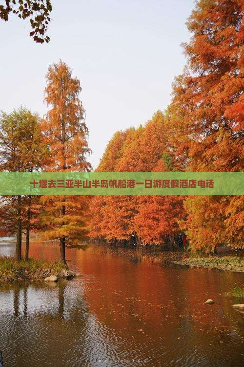 十堰去三亚半山半岛帆船港一日游