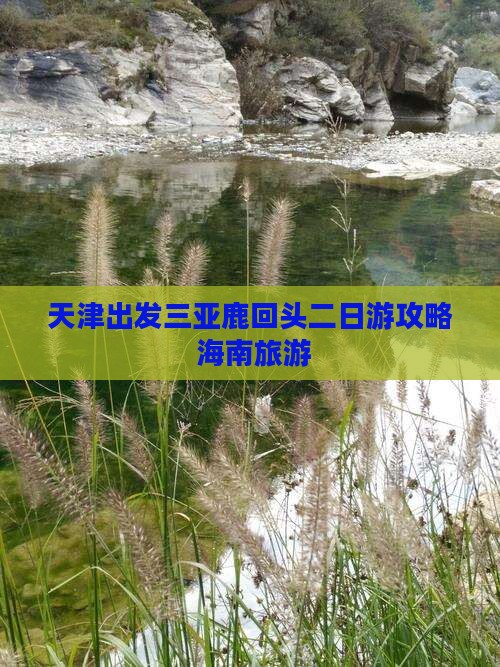 天津出发三亚鹿回头二日游