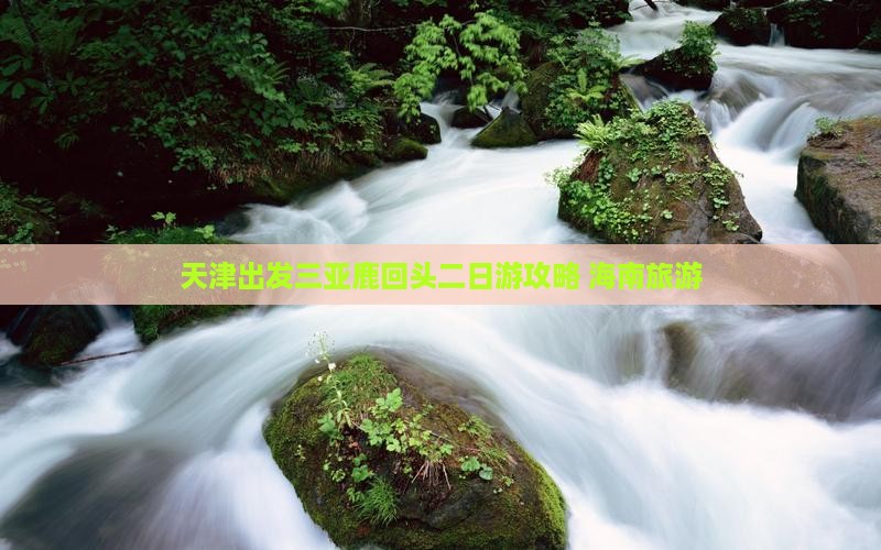 天津出发三亚鹿回头二日游