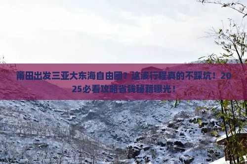莆田出发三亚大东海自由团