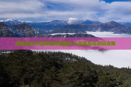 伊犁出发三亚凤凰岛哪里玩