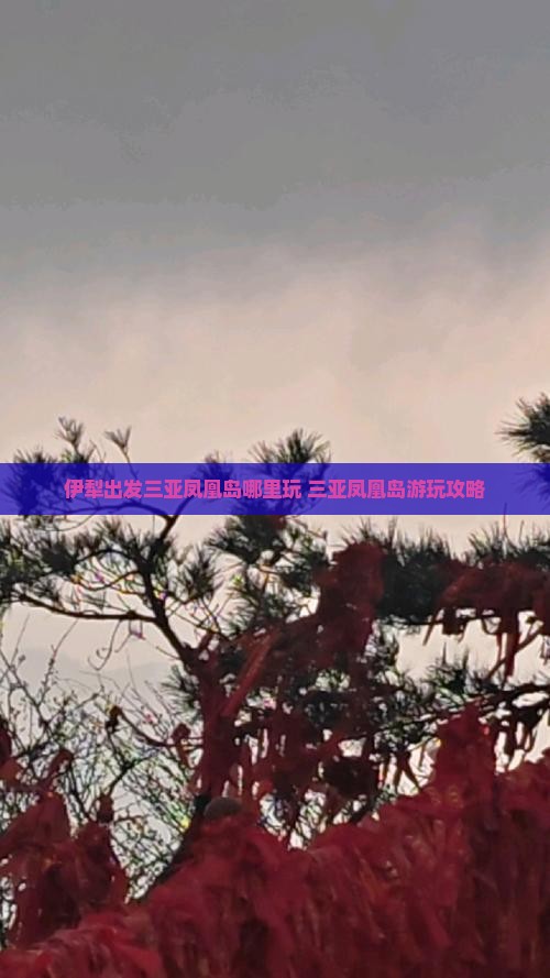 伊犁出发三亚凤凰岛哪里玩