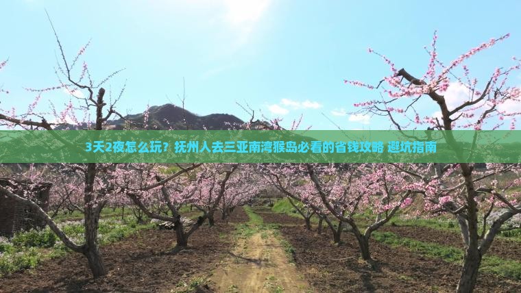 抚州去三亚南湾猴岛三日游