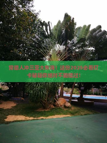 常德去三亚大东海旅游打卡点