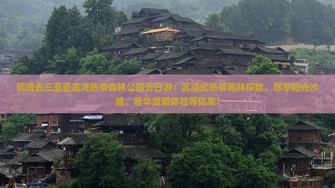 昭通去三亚亚龙湾热带森林公园五日游