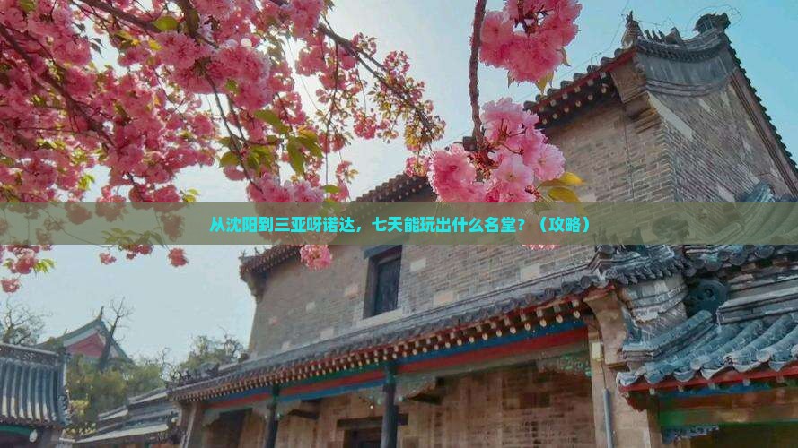 沈阳前往三亚呀诺达景区七日游