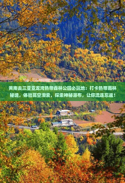 黄南去三亚亚龙湾热带森林公园必玩地