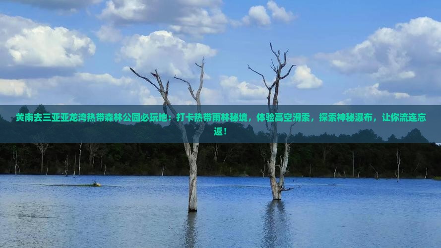 黄南去三亚亚龙湾热带森林公园必玩地