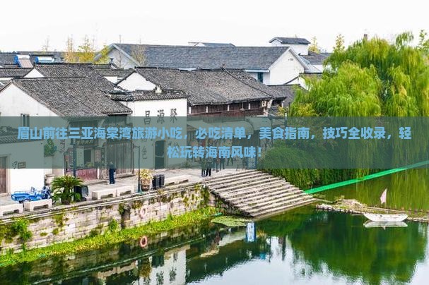 眉山前往三亚海棠湾旅游小吃