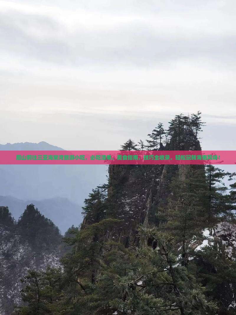 眉山前往三亚海棠湾旅游小吃