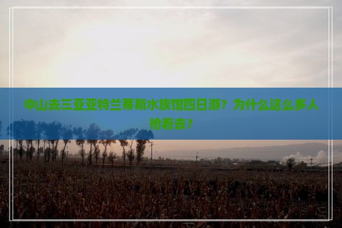 中山去三亚亚特兰蒂斯水族馆四日游