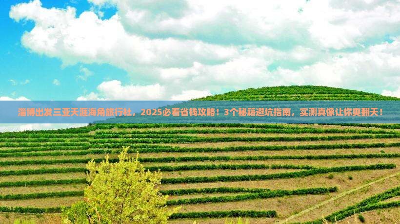 淄博出发三亚天涯海角旅行社