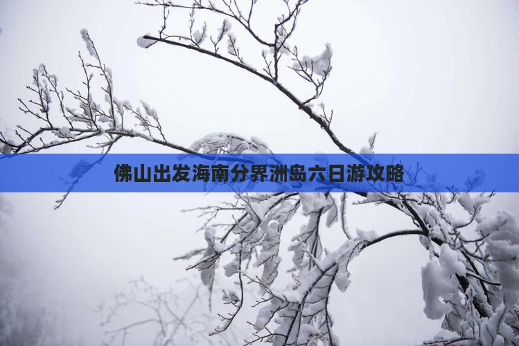 佛山出发三亚分界洲岛六日游