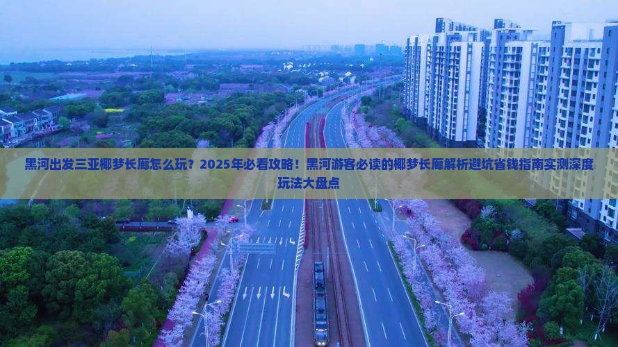 黑河出发三亚椰梦长廊必玩地