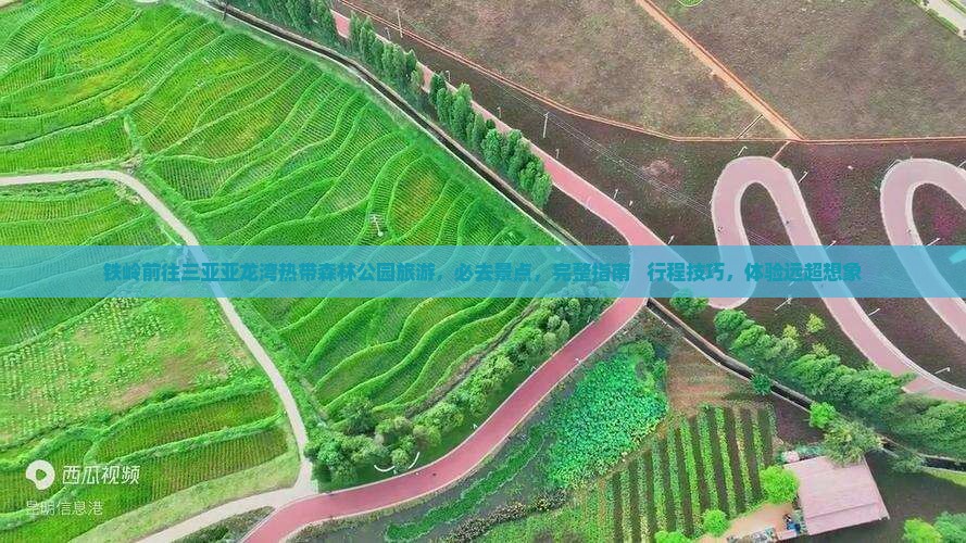 铁岭前往三亚亚龙湾热带森林公园旅游