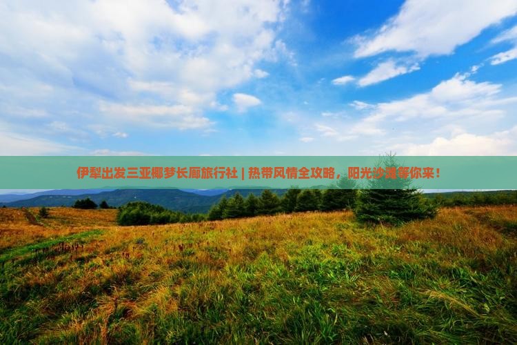 伊犁出发三亚椰梦长廊旅行社