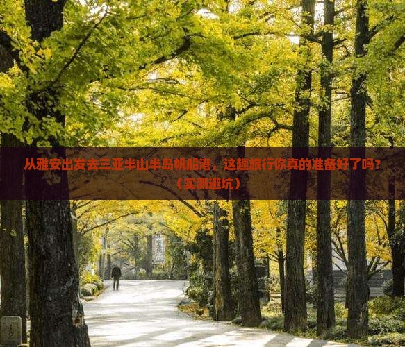 雅安出发三亚半山半岛帆船港旅游打卡点