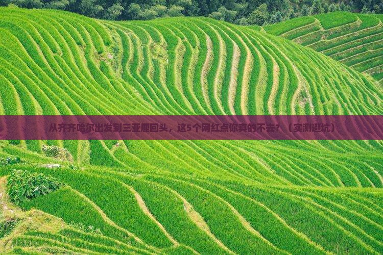 齐齐哈尔出发三亚鹿回头旅游网红地点