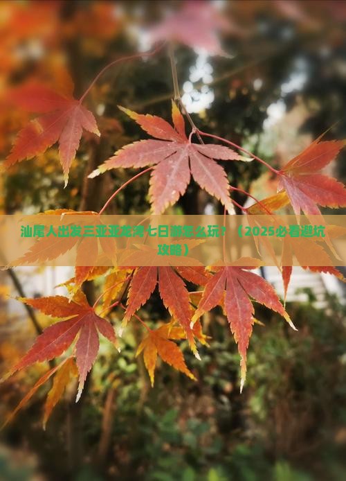汕尾出发三亚亚龙湾七日游