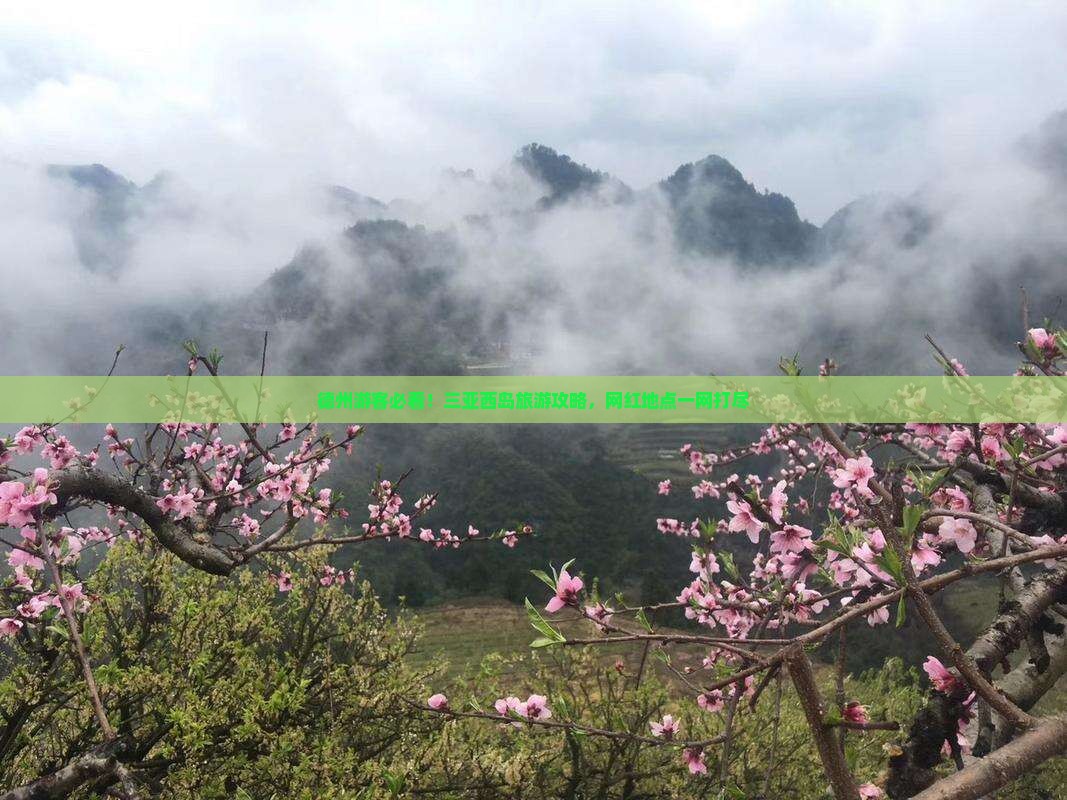 德州去三亚西岛旅游网红地点