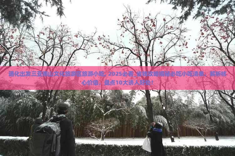 通化出发三亚南山文化旅游区旅游小吃