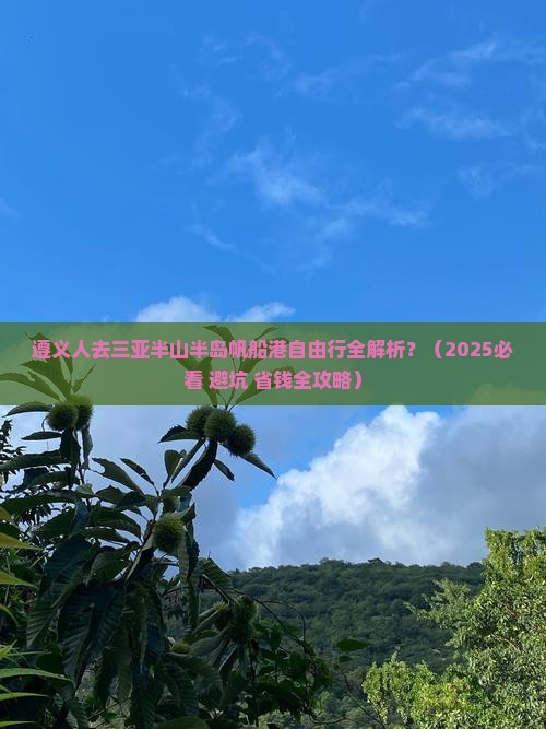 遵义前往三亚半山半岛帆船港自由行 遵义前往三亚半山半岛帆船港自由行