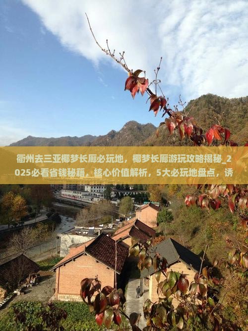 衢州去三亚椰梦长廊必玩地